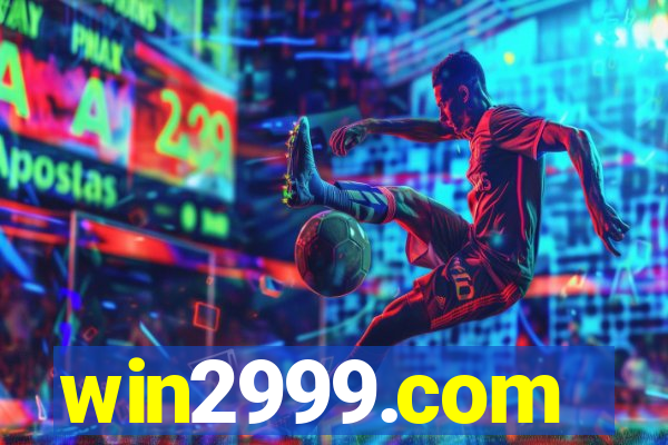 win2999.com