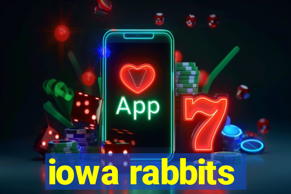 iowa rabbits