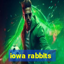 iowa rabbits