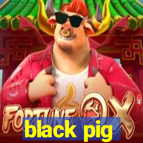 black pig