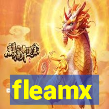 fleamx