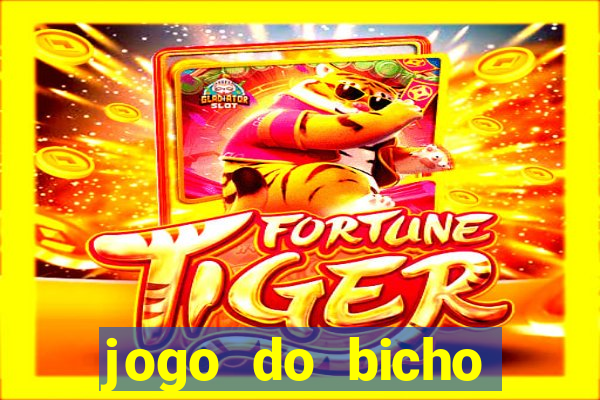 jogo do bicho crash mines