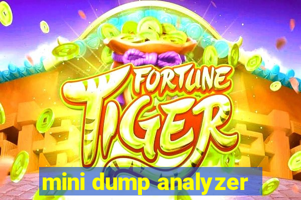 mini dump analyzer