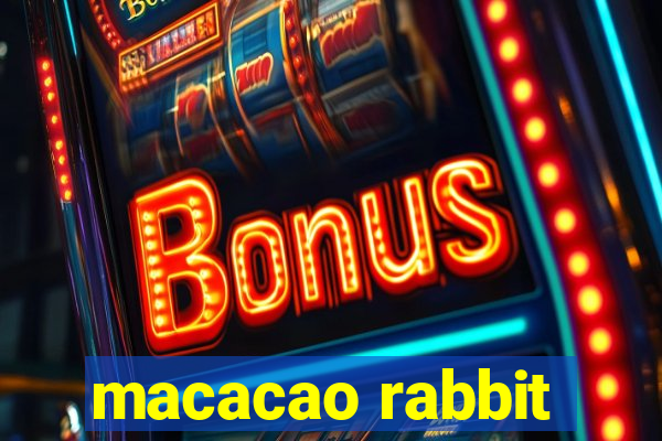 macacao rabbit