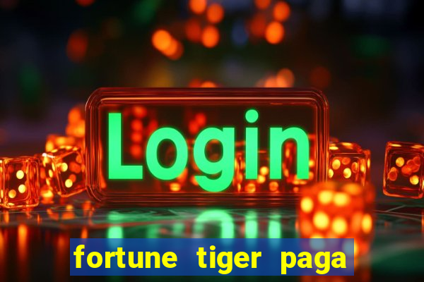 fortune tiger paga de madrugada