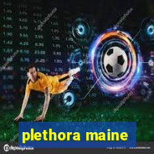 plethora maine