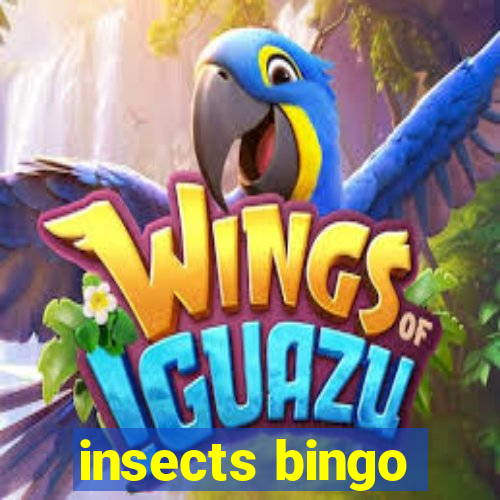 insects bingo