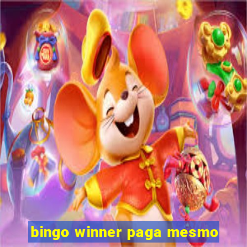 bingo winner paga mesmo