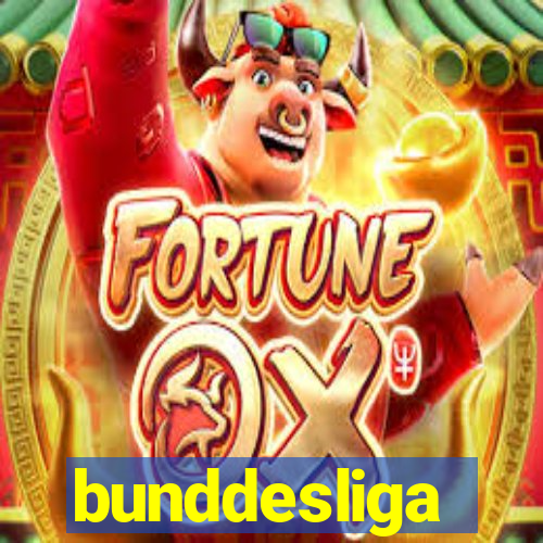 bunddesliga