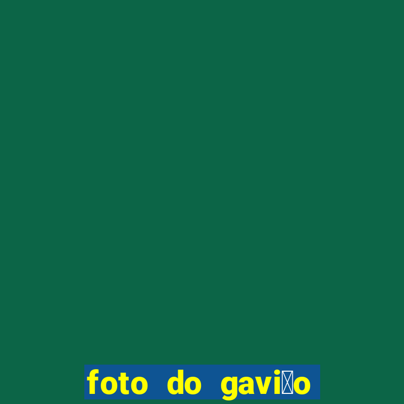 foto do gavi茫o do corinthians