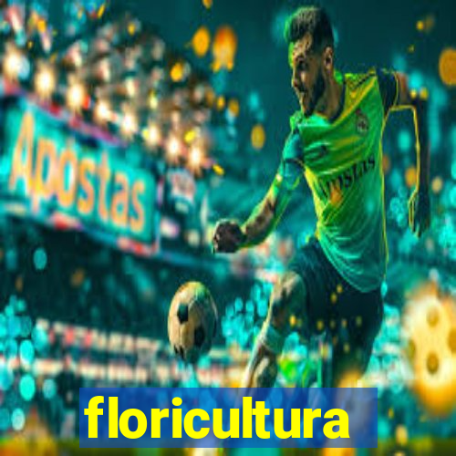 floricultura cruzeiro novo