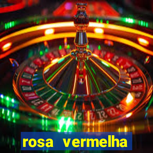 rosa vermelha (letra e cifra)