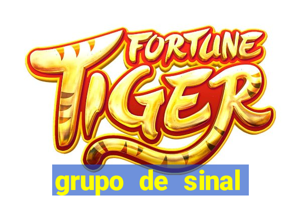 grupo de sinal fortune tiger