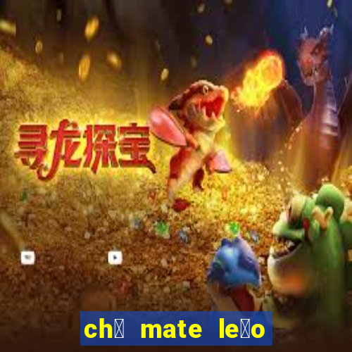 ch谩 mate le茫o tem cafe铆na