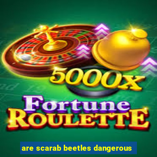 are scarab beetles dangerous