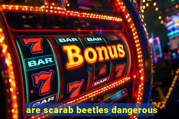 are scarab beetles dangerous