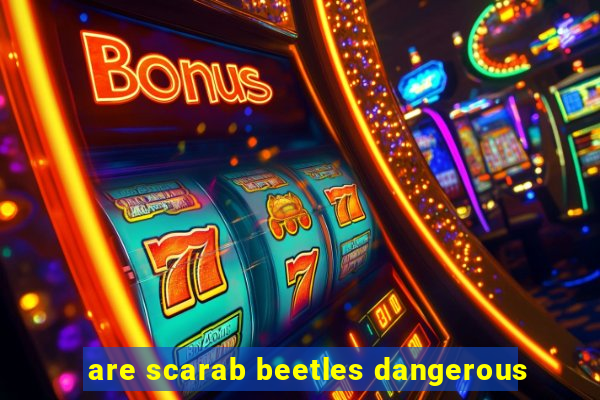 are scarab beetles dangerous