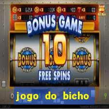 jogo do bicho online sc