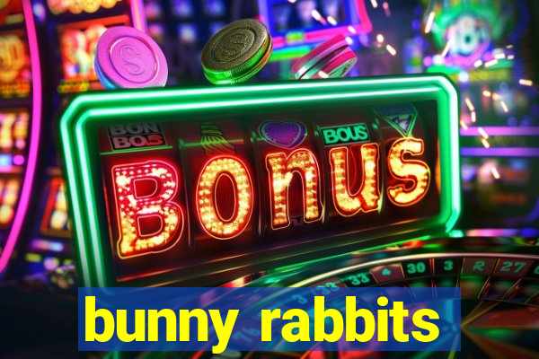 bunny rabbits