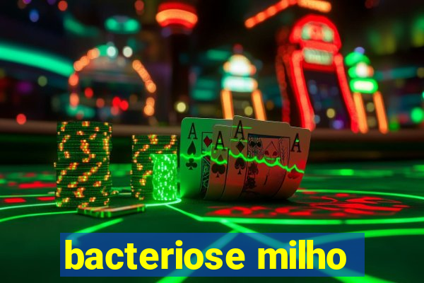 bacteriose milho