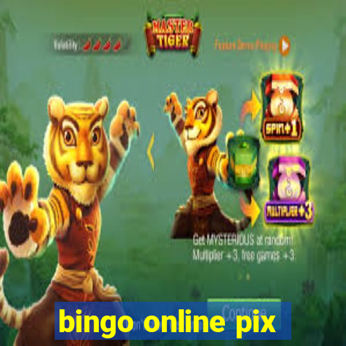 bingo online pix