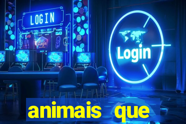 animais que produzem l茫