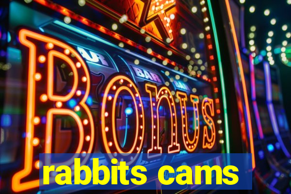 rabbits cams