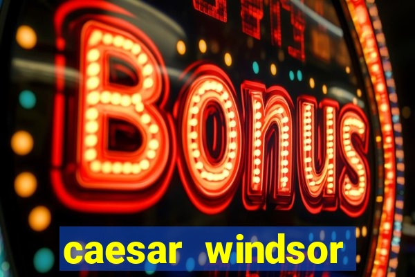 caesar windsor casino hotel