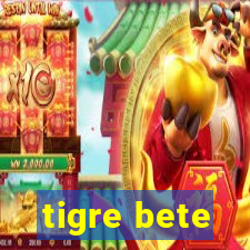 tigre bete