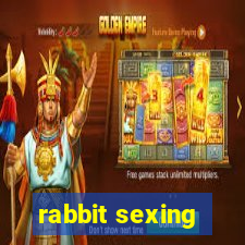 rabbit sexing