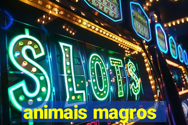 animais magros