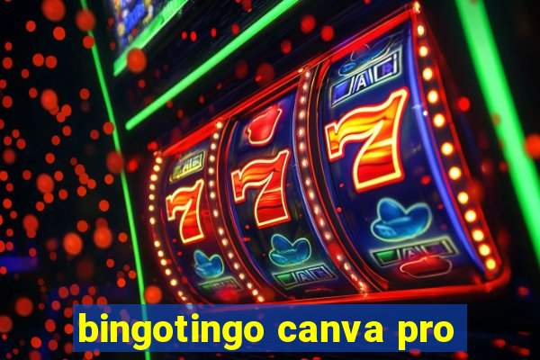 bingotingo canva pro