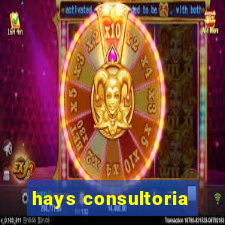 hays consultoria