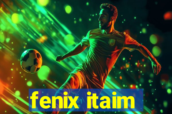 fenix itaim