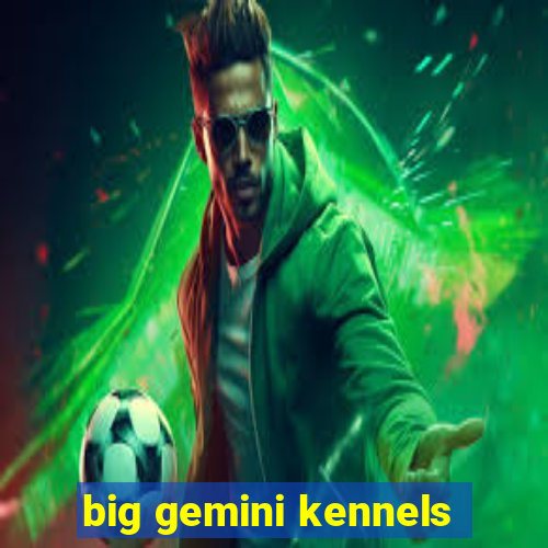 big gemini kennels