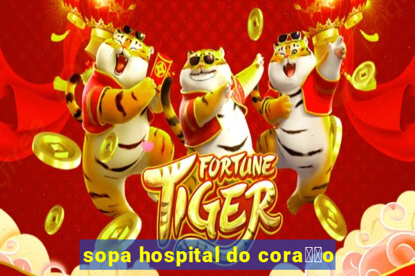 sopa hospital do cora莽茫o