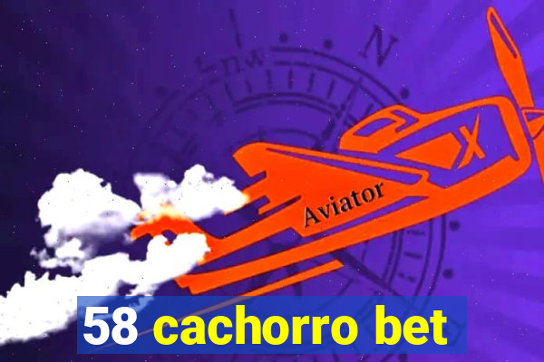 58 cachorro bet