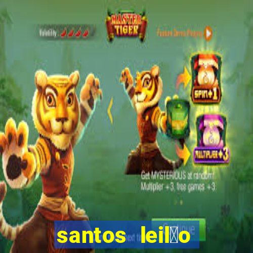 santos leil茫o passo fundo