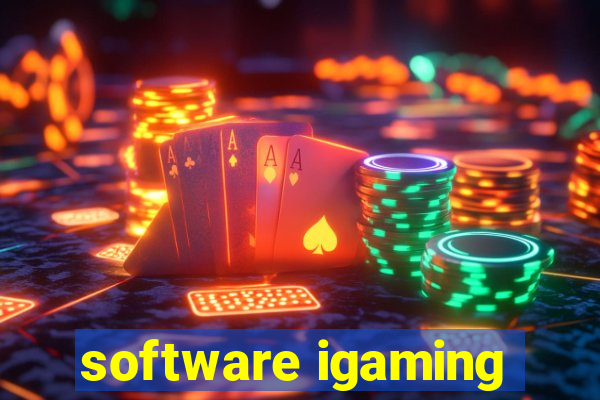 software igaming