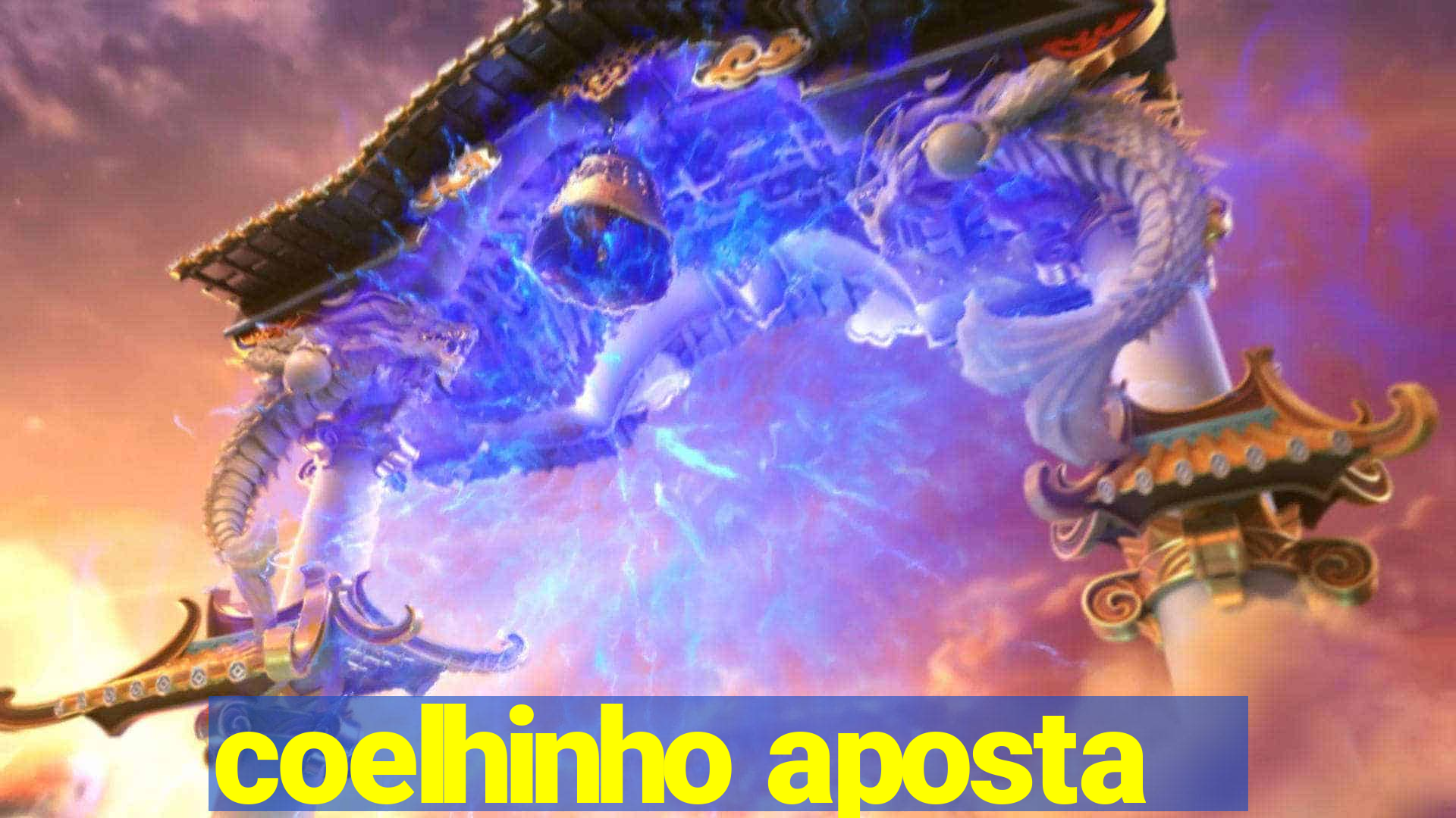 coelhinho aposta