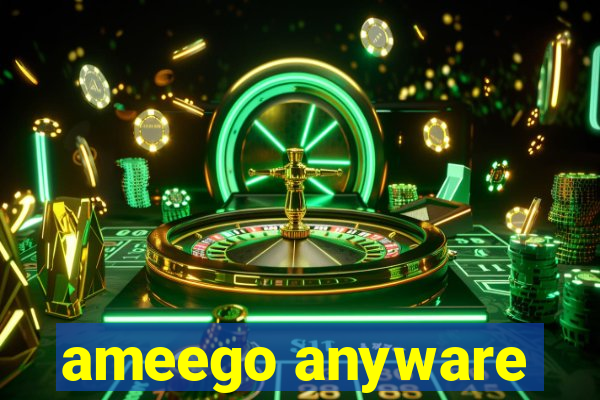 ameego anyware