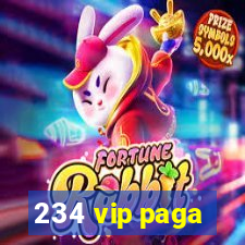 234 vip paga