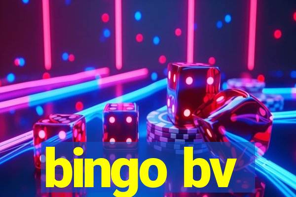 bingo bv