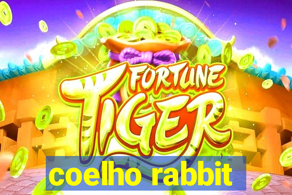 coelho rabbit