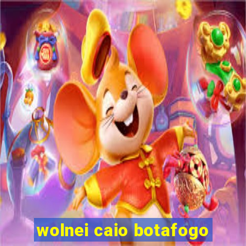 wolnei caio botafogo