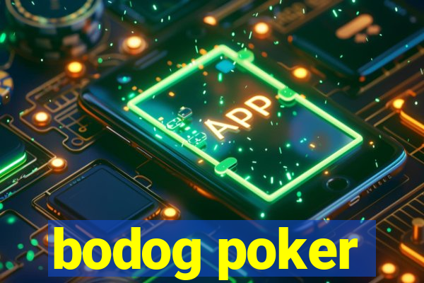 bodog poker