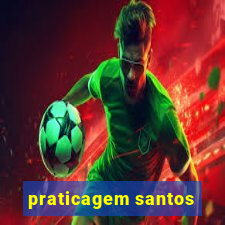 praticagem santos