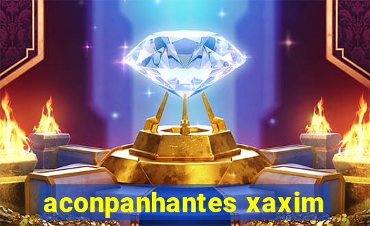 aconpanhantes xaxim