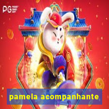 pamela acompanhante