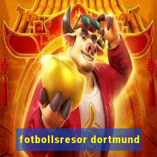 fotbollsresor dortmund